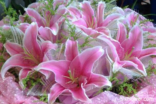 老人祝壽送花，為老人祝壽送什么花好？