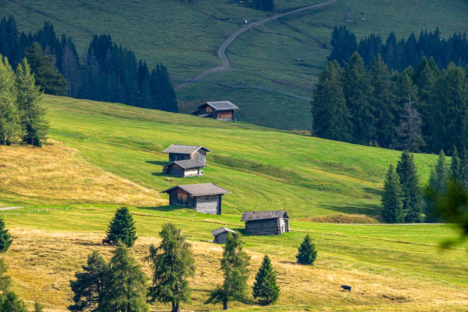 能源管理系統(tǒng)，城市綠色發(fā)展，節(jié)能減排