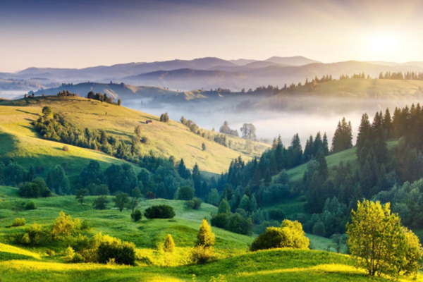 達(dá)成“雙碳”目標(biāo)不只是“減碳”！(圖1)